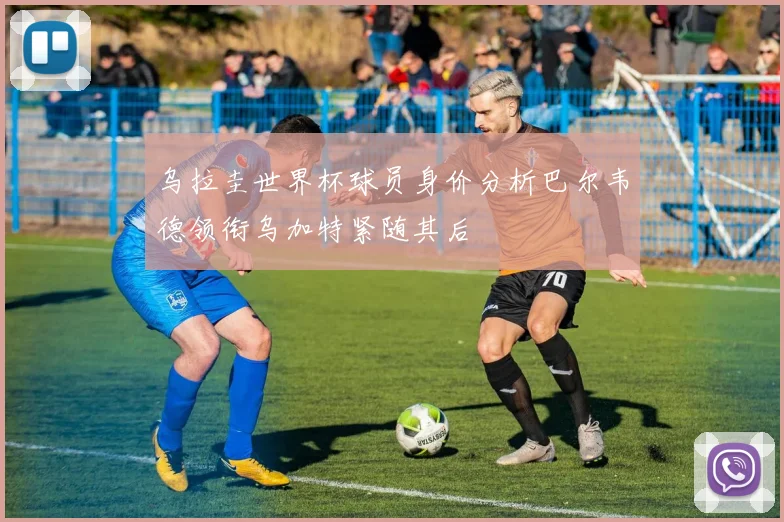 乌拉圭世界杯球员身价分析巴尔韦德领衔乌加特紧随其后